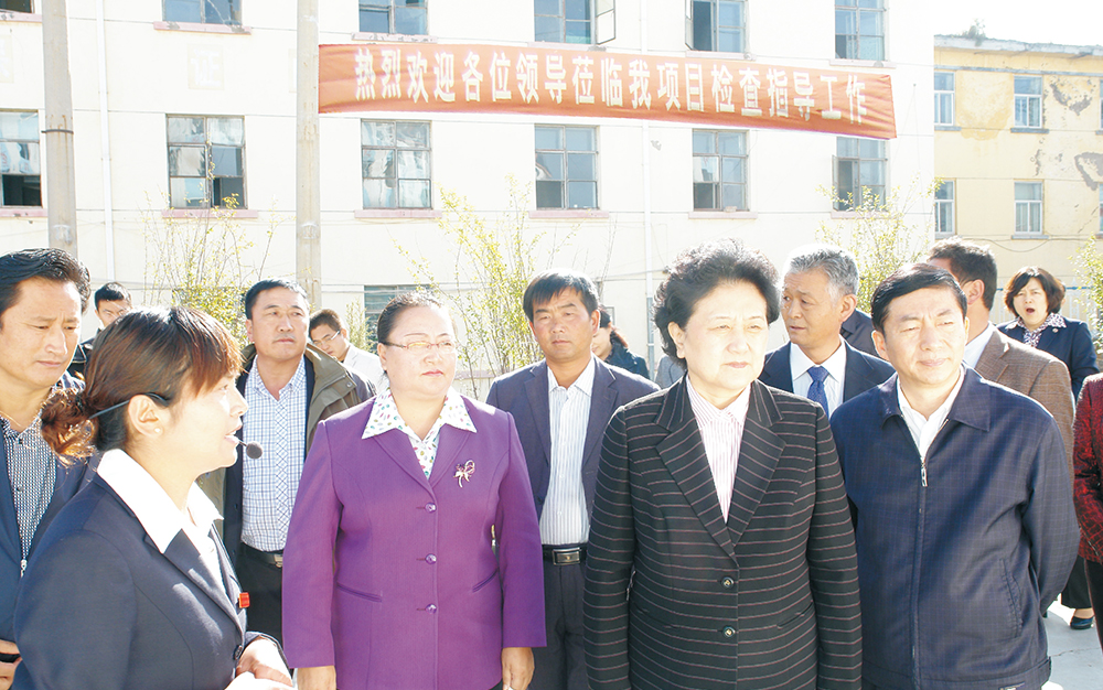 时任中央政治局委员，国务院副总理、党组成员刘延东视察湖北j9游戏集团青海项目部