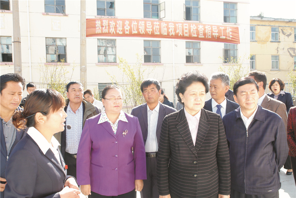 4中央政治局委员，国务院副总理、党组成员刘延东视察湖北j9游戏集团青海项目部 